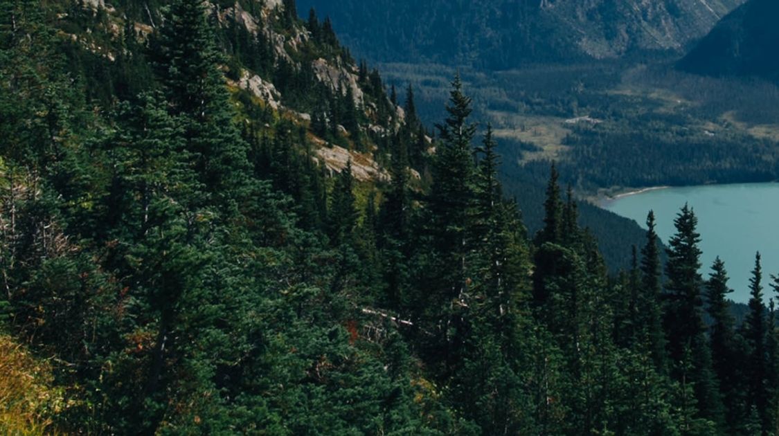 Benefits of hiking