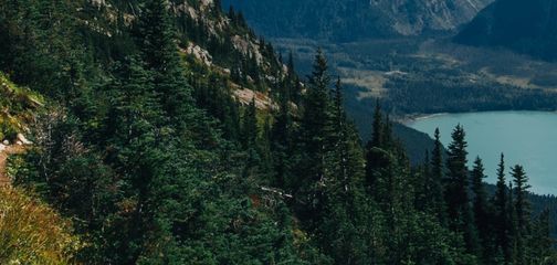 Benefits of hiking
