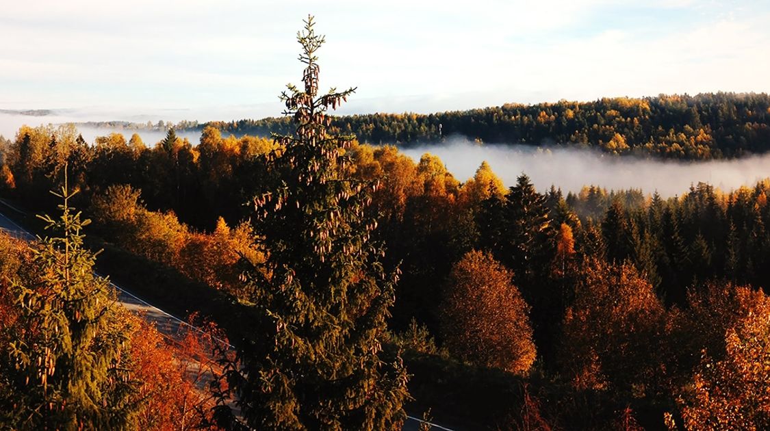 Autumn in Northern America