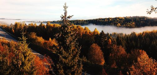 Autumn in Northern America