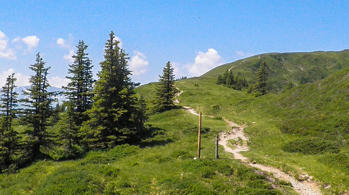 Planning your trip to Zell am See and Kaprun, Austria