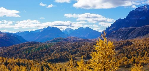 Panoramic views from the Healy Pass hike in Banff National Park, Alberta