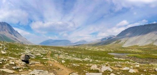 Panorama of the Wilcox Pass hike on Icefields Parkway, the Canadian Rockies