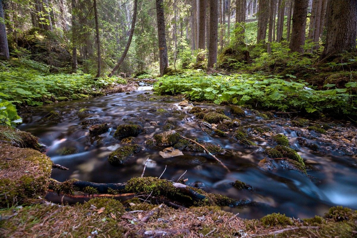 Carezza Lake trail in Italian Dolomites is crossed by many wild streams