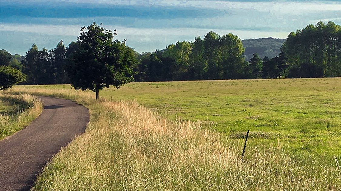 Panorama of the Hambledon Lock hike in Chiltern Hills, England 