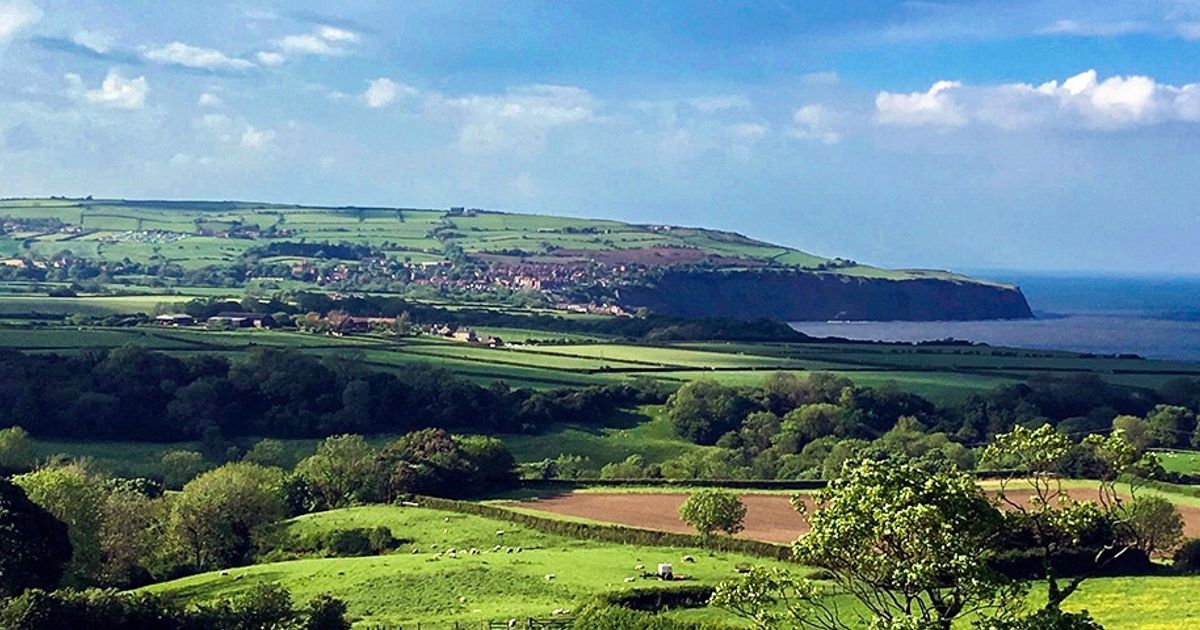 Planning Your Trip To North York Moors National Park planning-your-trip-to-north-york-moors-national-park