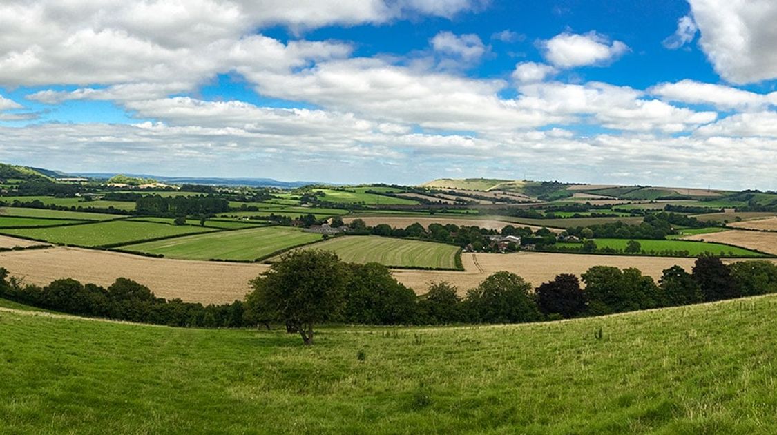 Trail of the East Meon and Butser Hill walk in South Downs, England