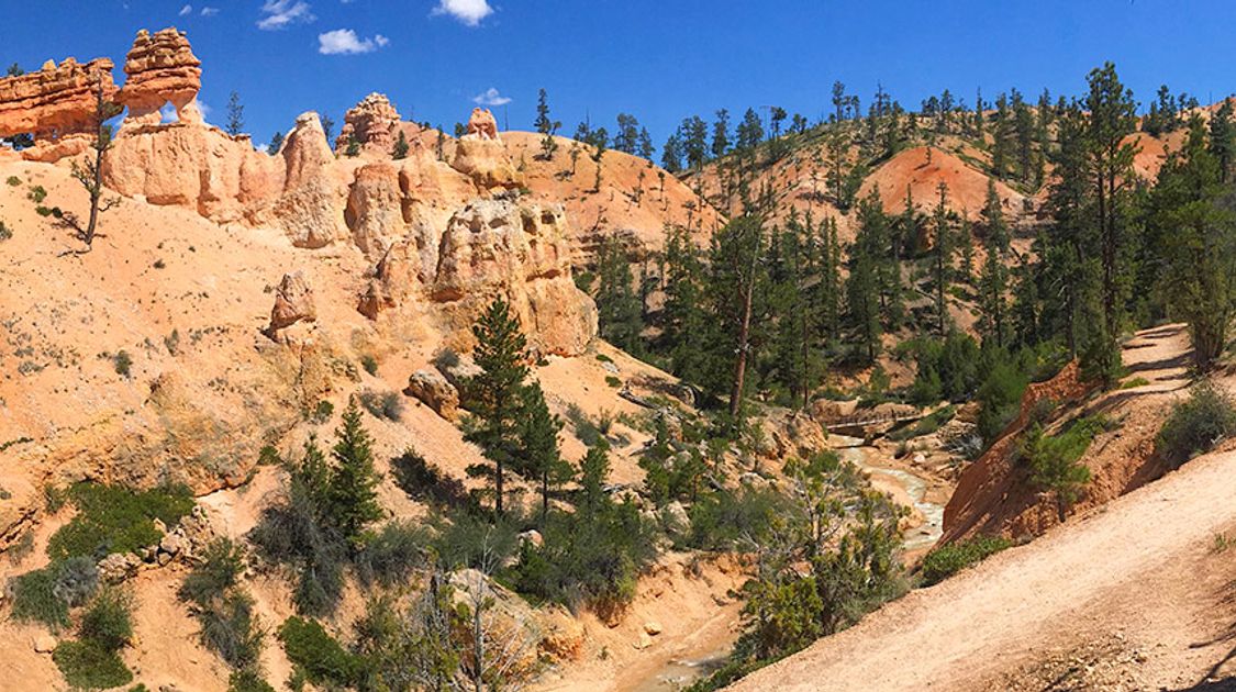 Views from the Mossy Caves hike in Bryce Canyon National Park, Utah
