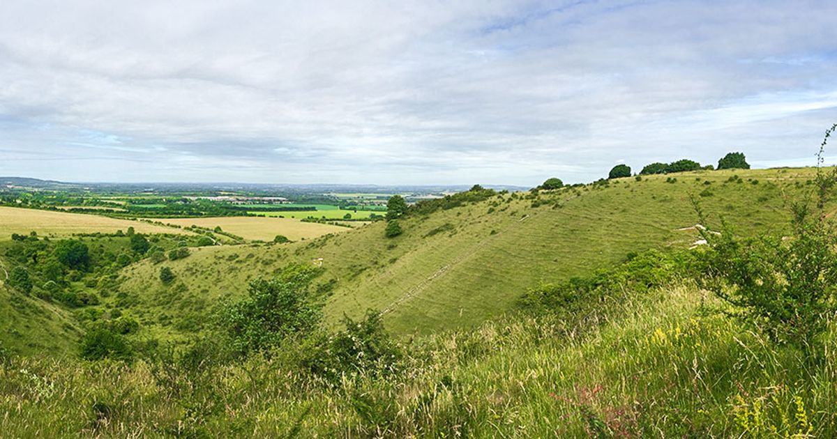 Best Walks In The Chiltern Hills In 2026