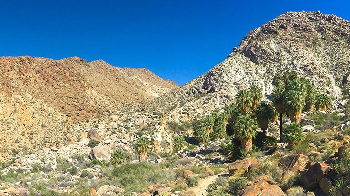 Best family-friendly hikes in Joshua Tree, California