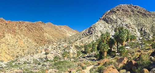 Best family-friendly hikes in Joshua Tree, California