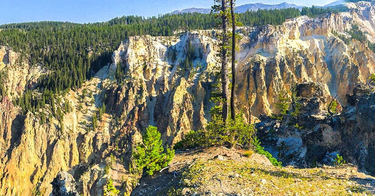 Yellowstone National Park Guide Plan A Trip for 2021 10Adventures