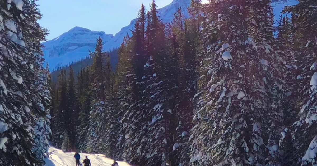 The Best XC Skiing in Kananaskis Country, Alberta 10Adventures