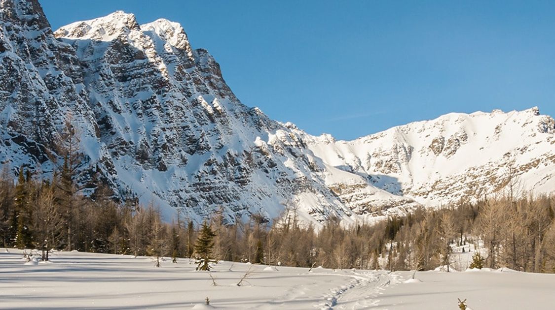 Snowshoeing in Banff National Park