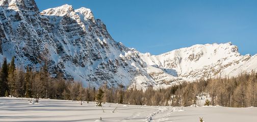 Snowshoeing in Banff National Park