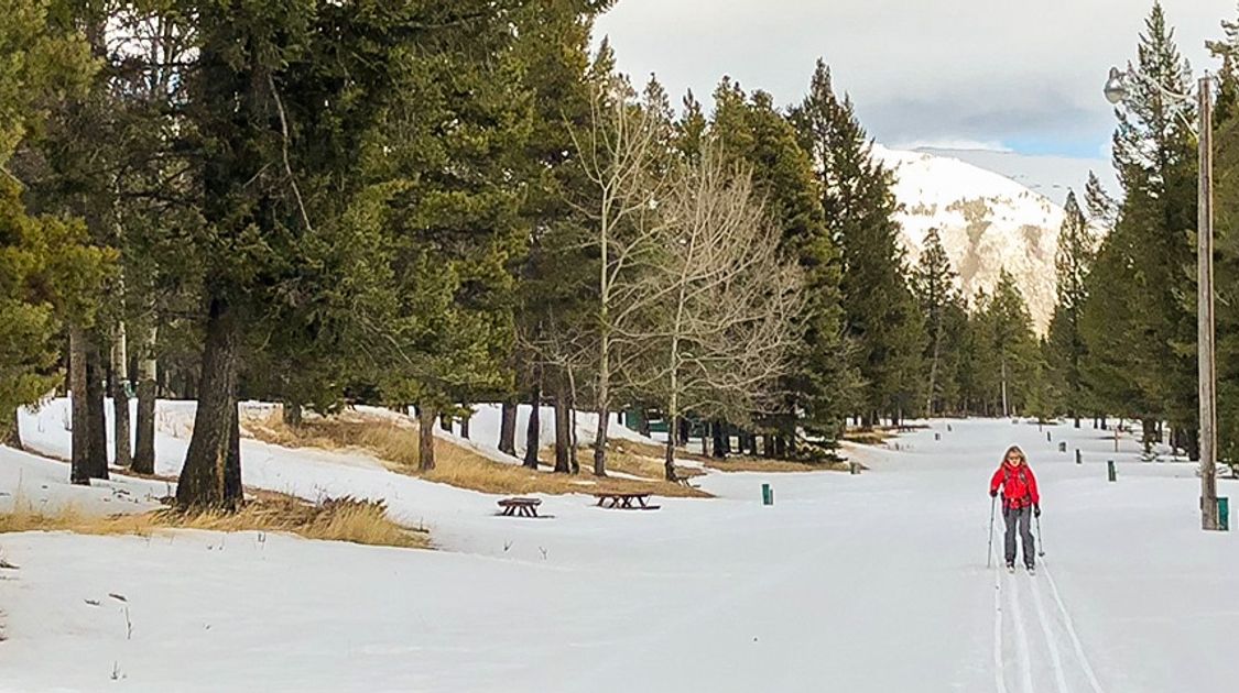 Panorama of Tunnel Mountain XC ski trail in Banff National Park, Alberta