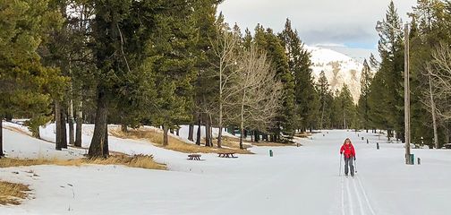 Panorama of Tunnel Mountain XC ski trail in Banff National Park, Alberta