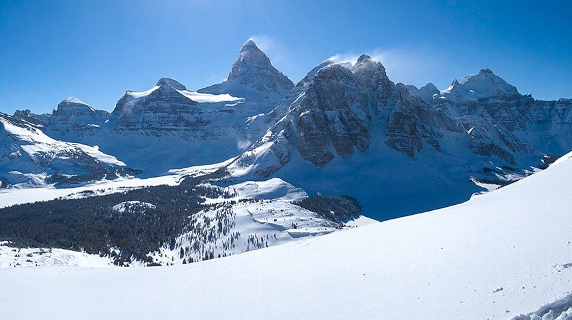 Cross country skiing equipment