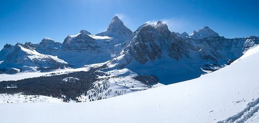Cross country skiing equipment