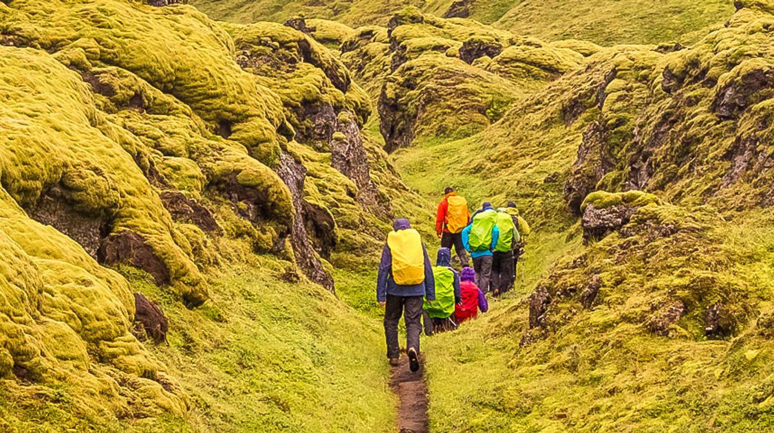 A group hiking along the volcanic trails