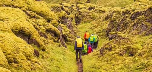 A group hiking along the volcanic trails