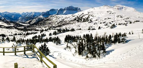Snowshoeing in Sunshine Valley is a must-do attraction in Banff National Park during the winter