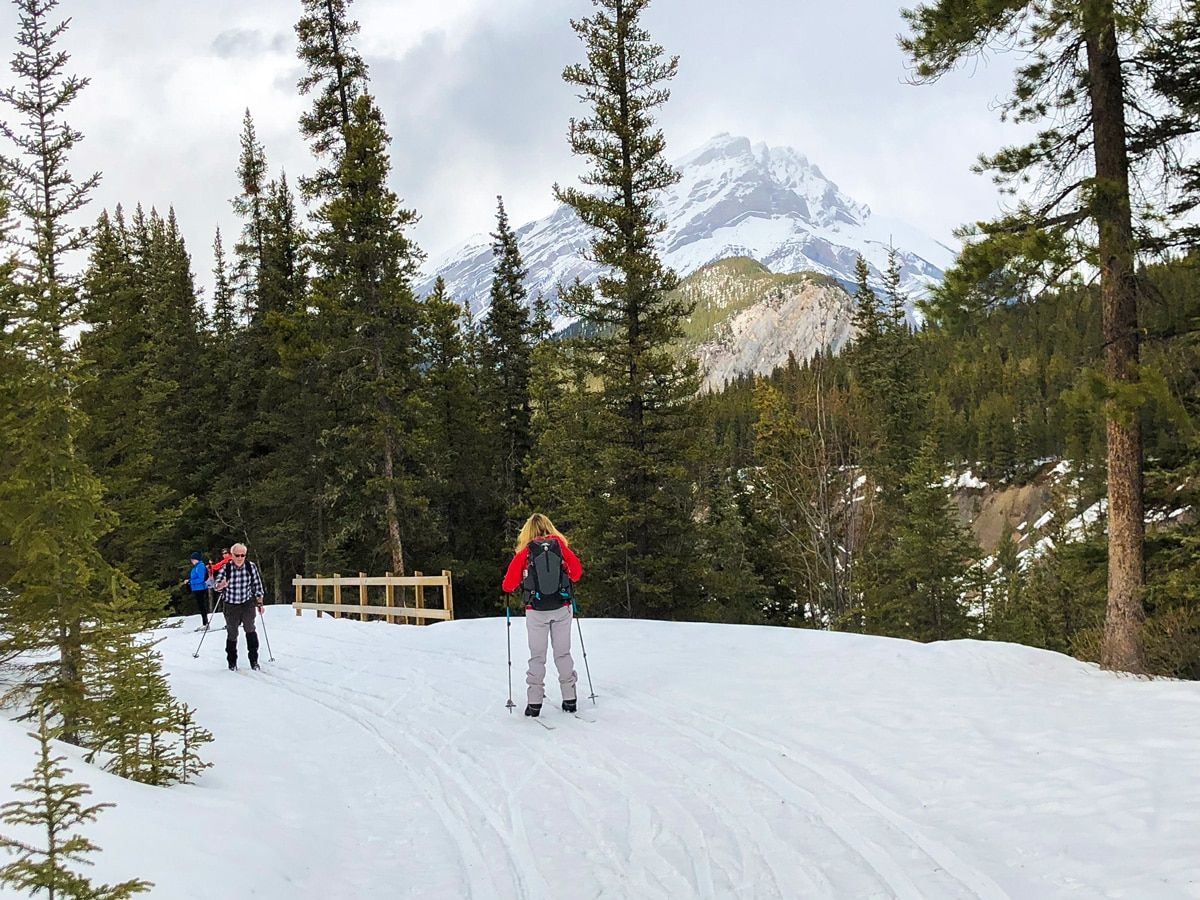 XC skiers in Canadian Rockies near Calgary