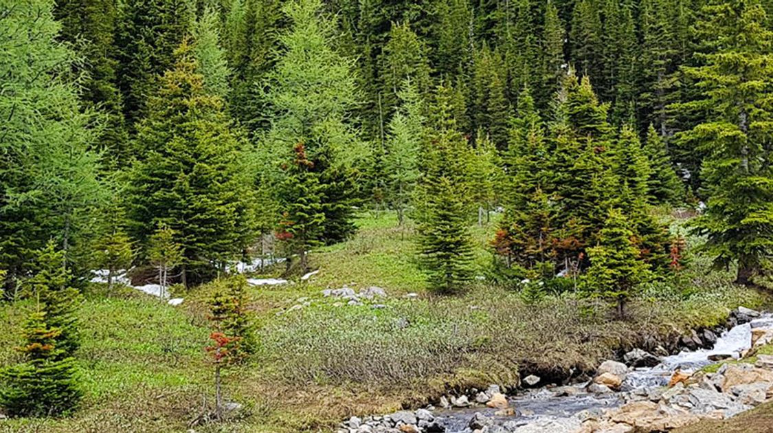 Hiker resting with Osprey Stratos 34L Backpack