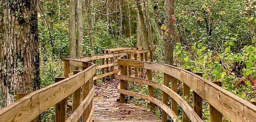 Ice Age Trail ponds