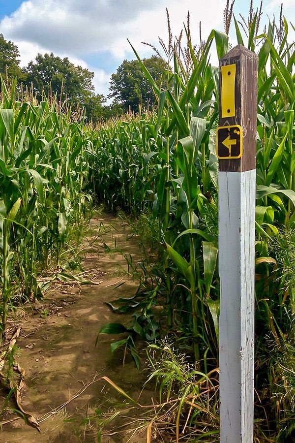 Ice Age Trail farm fields