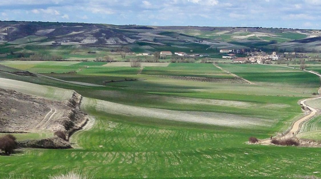 An Extensive Guide to Camino de Santiago
