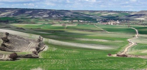 An Extensive Guide to Camino de Santiago