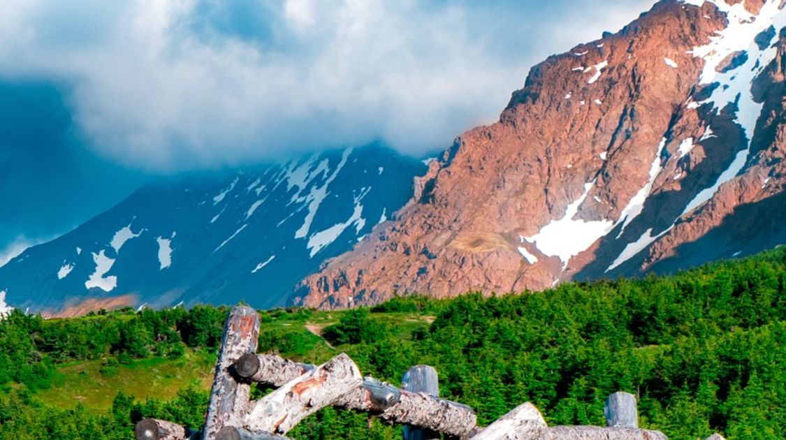 The Ultimate Travel Guide to Anchorage, Alaska