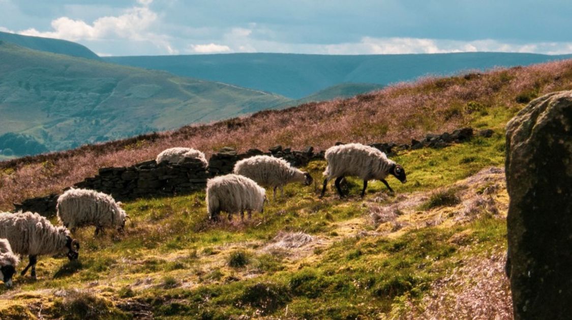 An Ultimate Guide to the Peak District National Park