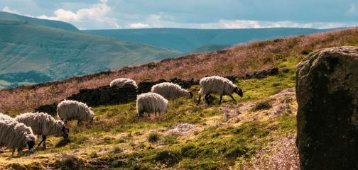 An Ultimate Guide to the Peak District National Park