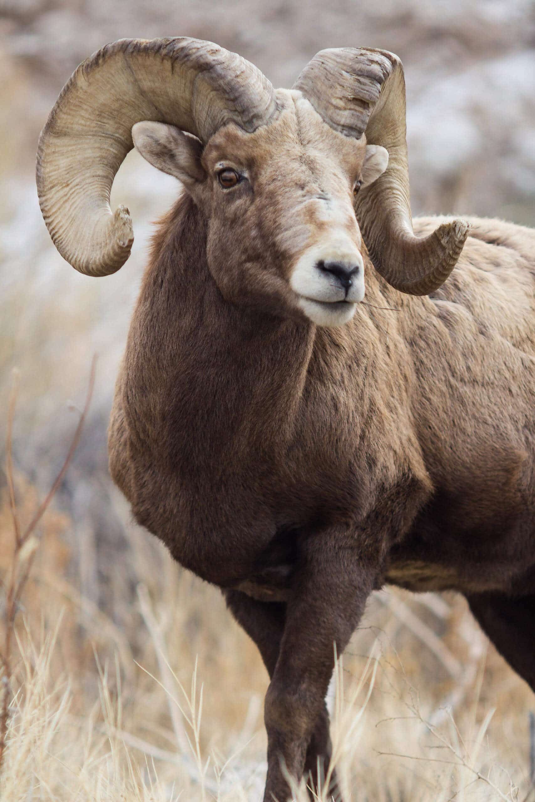 Image credit: Benjamin Mastruserio, dbmphotos.com