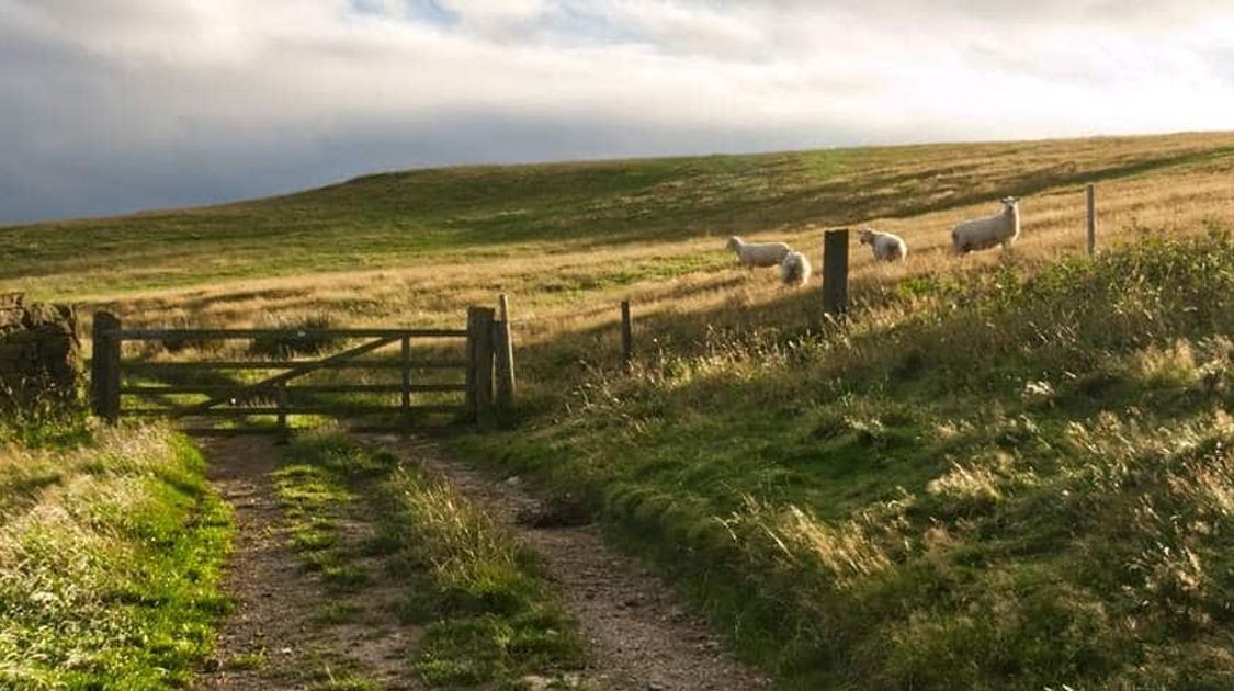 Cleveland Way