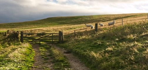 Cleveland Way