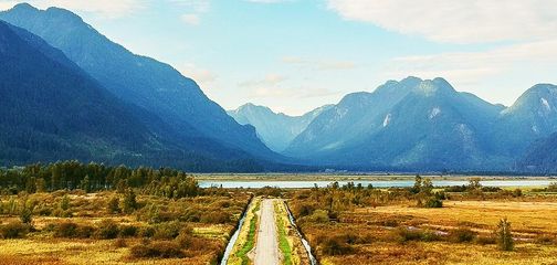 15 Best Easy Hikes around Vancouver For the Whole Family
