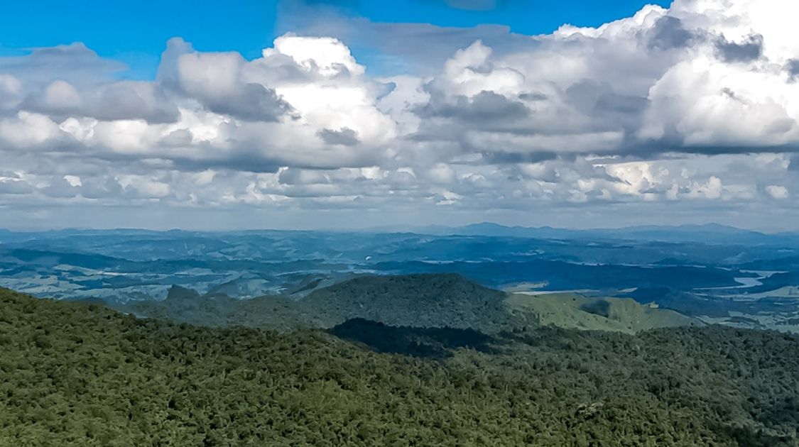 The Ultimate Guide to New Zealand's Te Araroa Trail