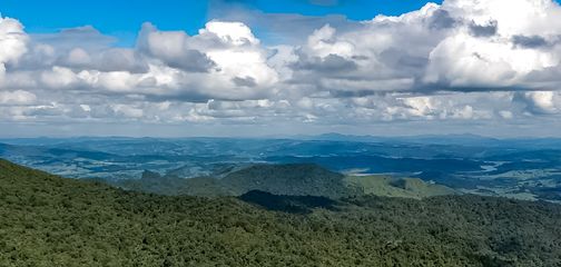 The Ultimate Guide to New Zealand's Te Araroa Trail