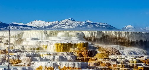 Things To Do Around Yellowstone in Winter for Outdoor Lovers