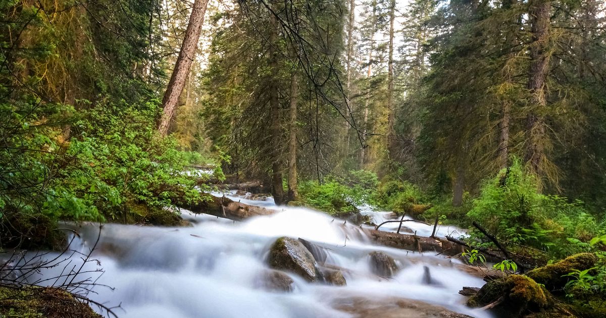 Louise Creek Trail – Hike to the Famous Lake Louise