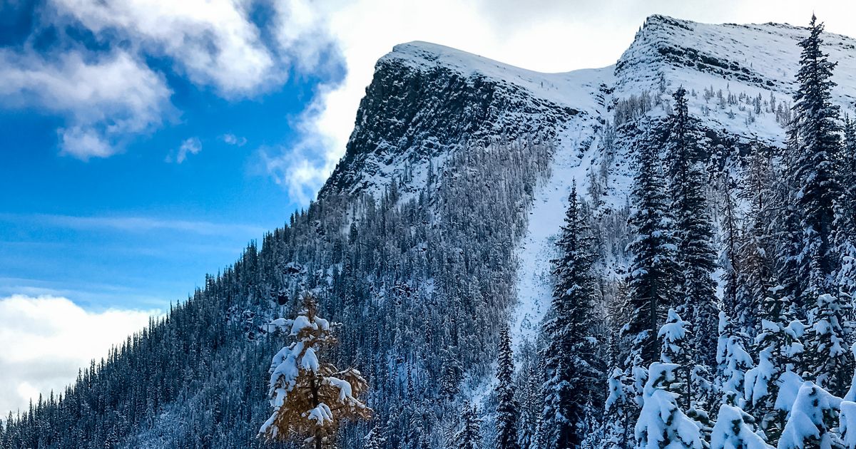 Saddleback Pass Hike A Hiking Guide in Lake Louise, AB 10Adventures