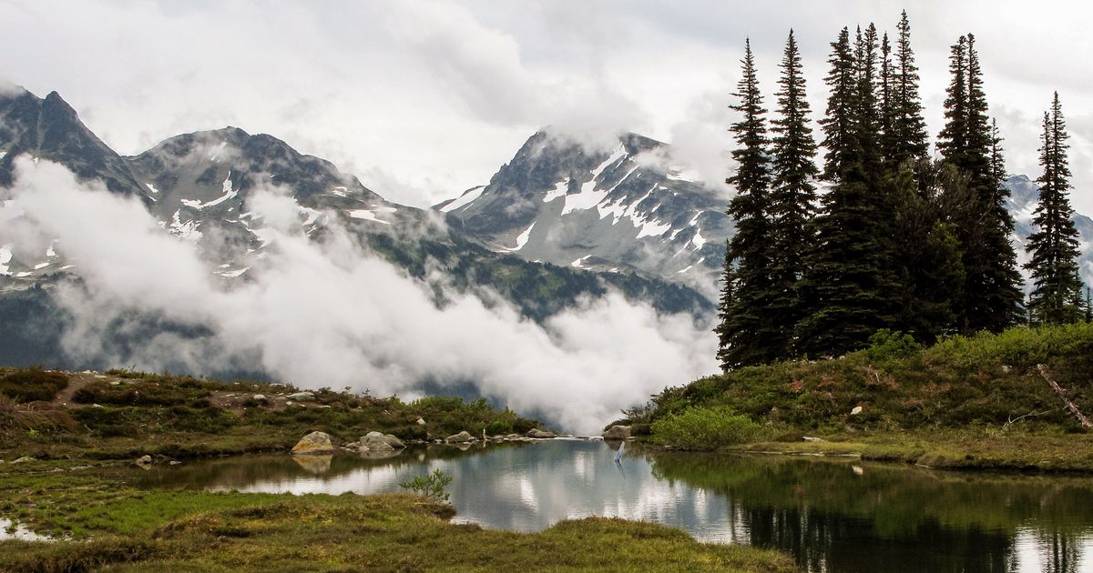 A Guide to the Harmony Lake Trail, Whistler 10Adventures