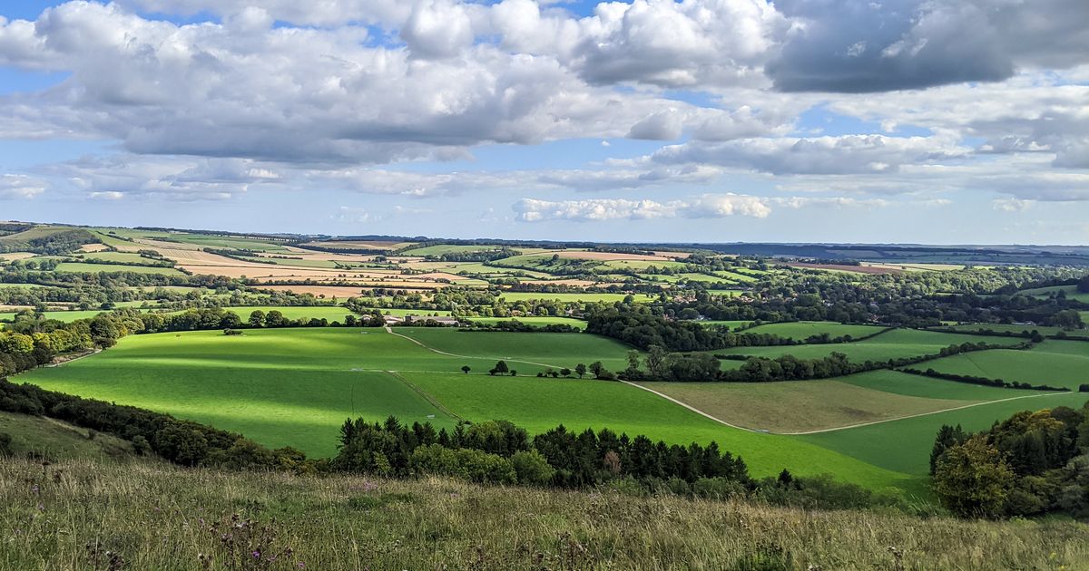 A Guide to Walking Beacon Hill and Exton 10Adventures