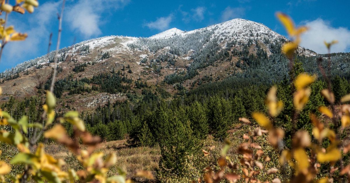 A Guide to Elk Mountain Trail Montana 10Adventures