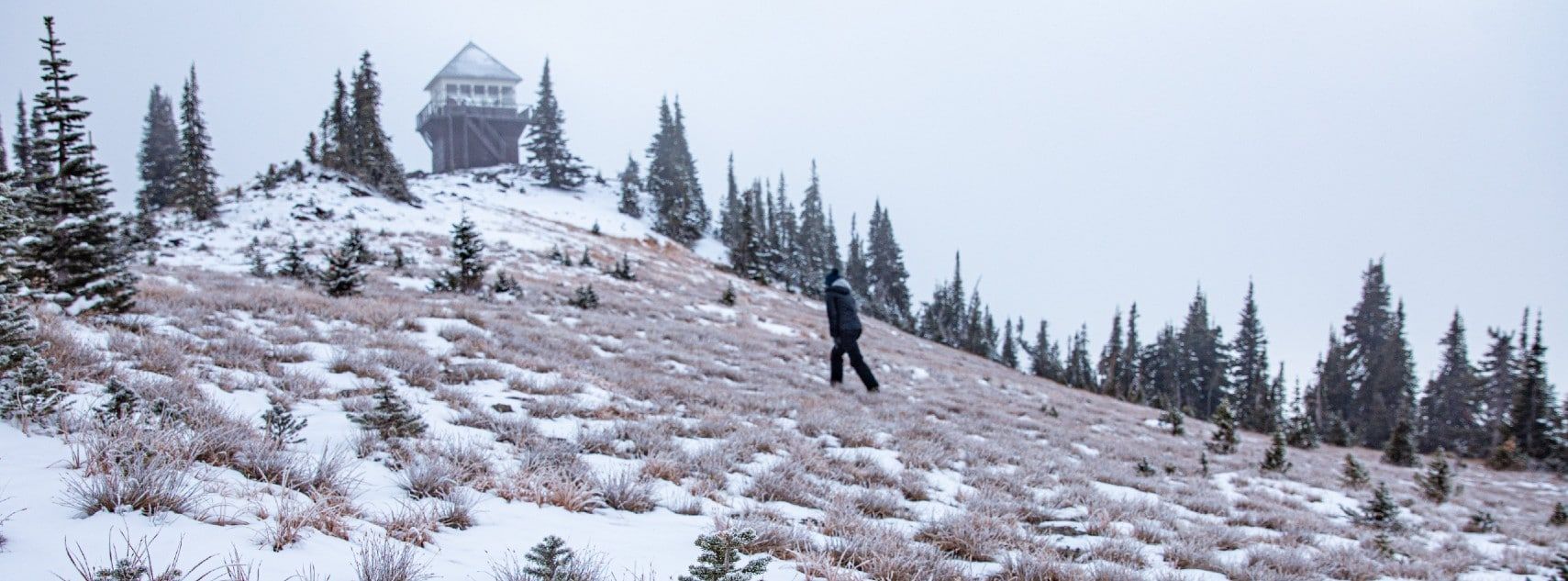 Mount Brown Lookout Trail