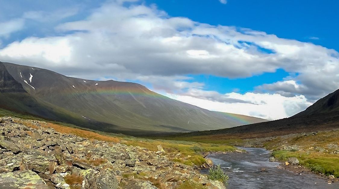 The Ultimate Travel Guide to Sweden