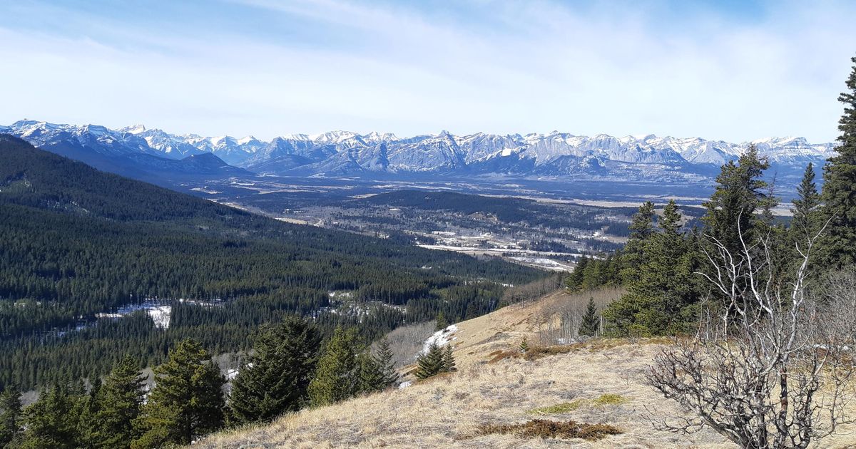 Eagle Hill Trail A Hiking Trail on Sibbald Creek Trail 10Adventures